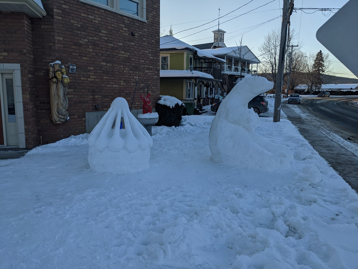 Un peu de plaisir et d’art hivernal à Danville