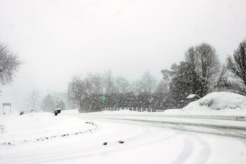 Un automne et un hiver qui persistent