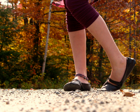 Promenade d'automne