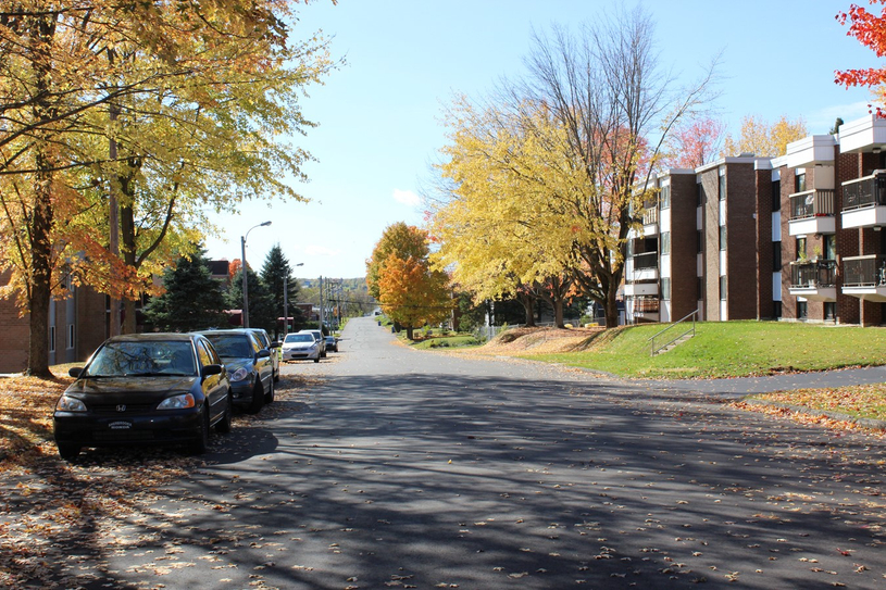 Asphaltage accru sur le réseau de la Ville de Windsor