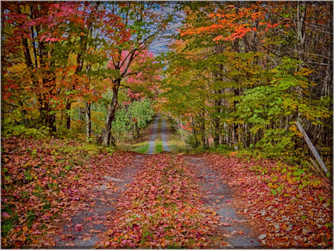 Sentier Lac Raquette