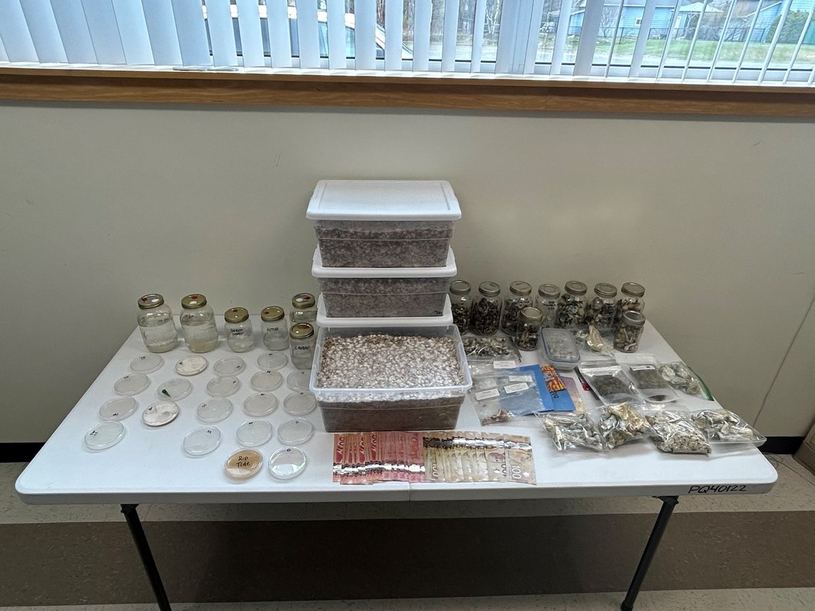 Importante perquisition en matière de stupéfiants à Danville