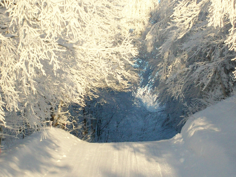 Les paysages compensent pour la longueur de l'hiver