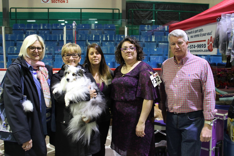 Une autre édition pour le club Canin de l'Estrie