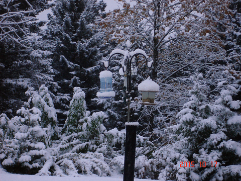 Première Neige !!!