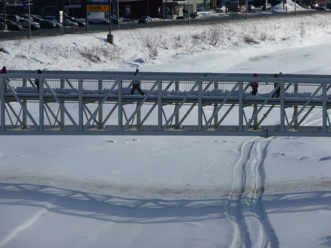 Passerelle de l'Île Ronde