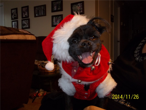 NOËL  NOËL !