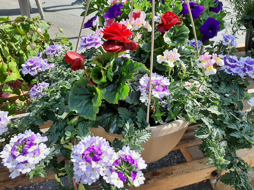 Des fleurs au profit du Centre d’art de Richmond et de la Paroisse Sainte-Bibiane