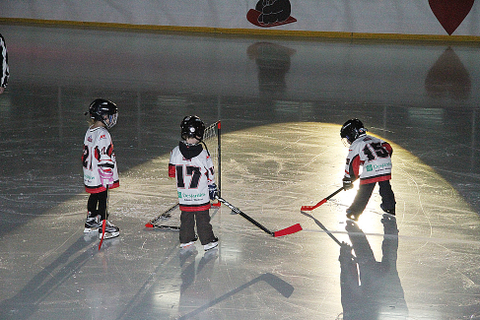 Patins d'Argent 2011