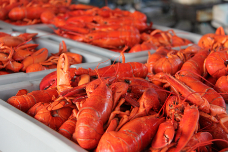 Souper au Homard