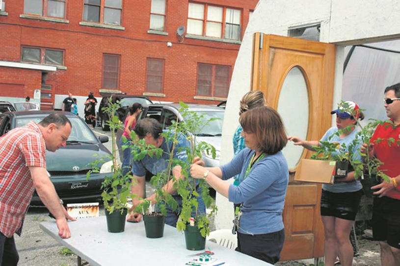 Coop Jardi-Serre : ventes de plants et de fleurs les 27 mai et 3 juin
