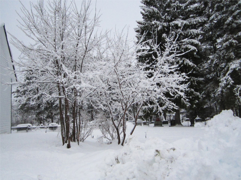 Hiver