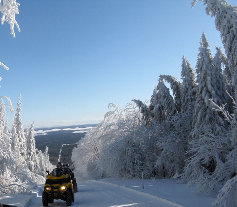 Randonnée hivernale