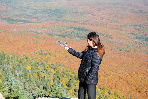 Mont St-Joseph