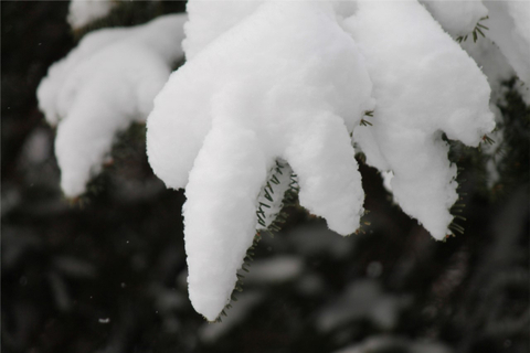 mon pays c'est l'hiver
