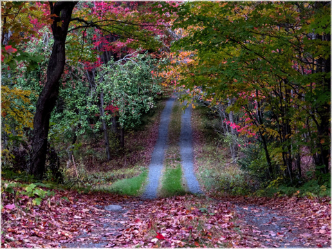 Sentier St-Benoit