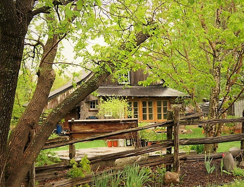 Domaine