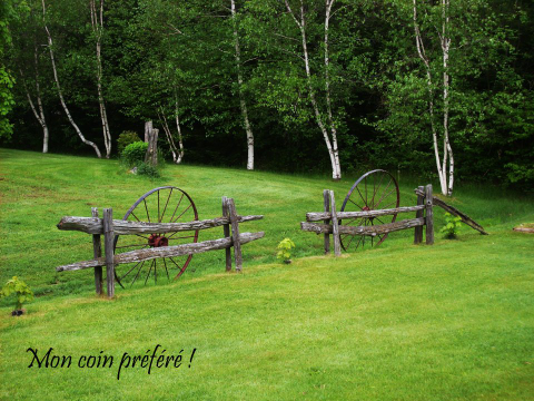 Mon coin préféré