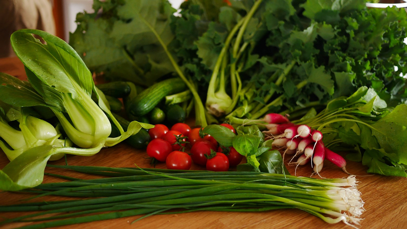 Poussent, poussent, poussent, les beaux gros légumes