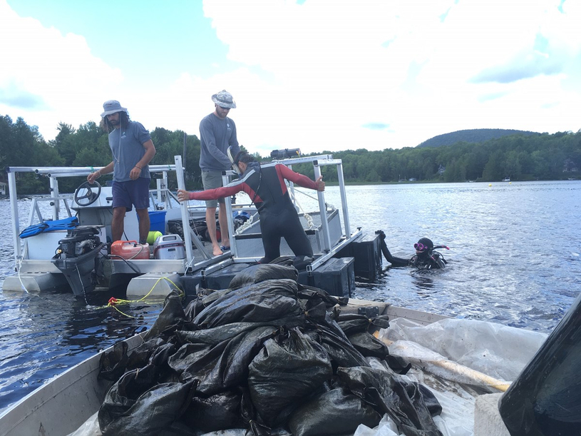 Manque de bénévoles à L’Association pour la protection du lac Brompton
