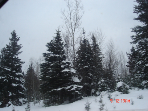 Paysage hiver