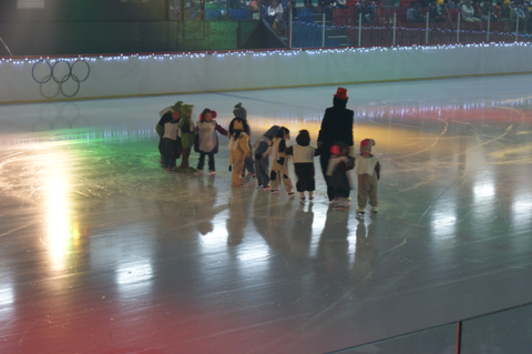 cpa 2010 