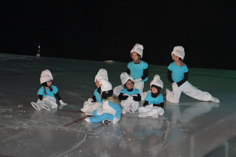 44e spectacle des Patins d'argent