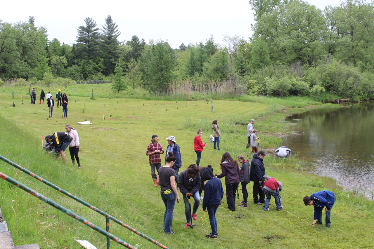 Jeunes du Tournesol et partenaires réaménagent la bande riveraine