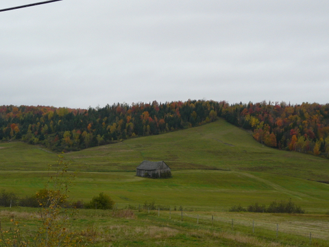 Sur la route de Lac Drolet