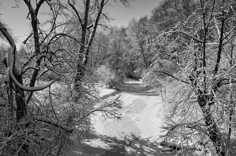 Vue du Pont