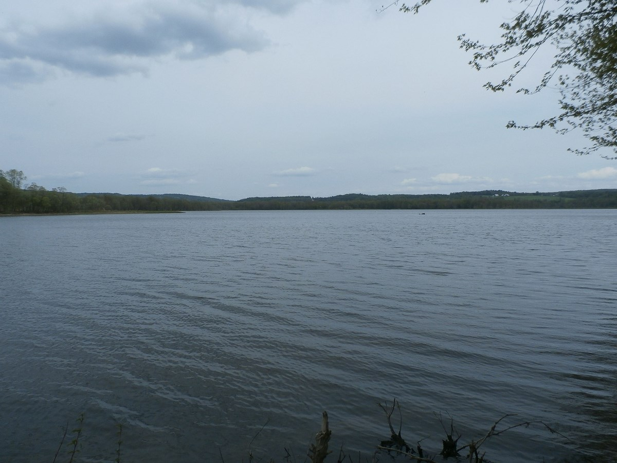 Des résidents du secteur Trois-Lacs aux prises avec des accumulations d’eau pluviale