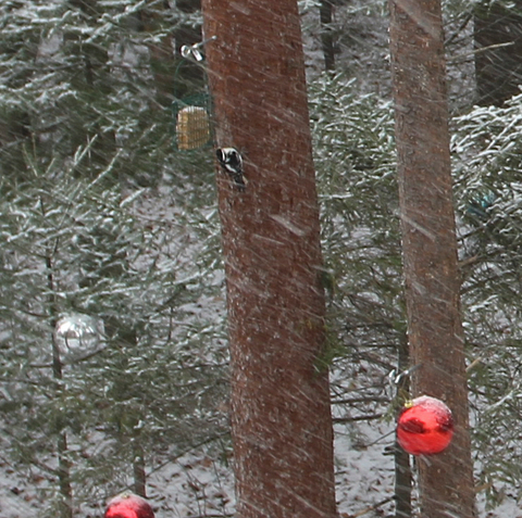 L'hiver s'annonce