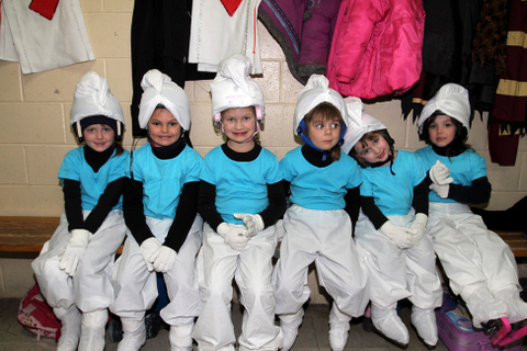 44e spectacle des Patins d'argent