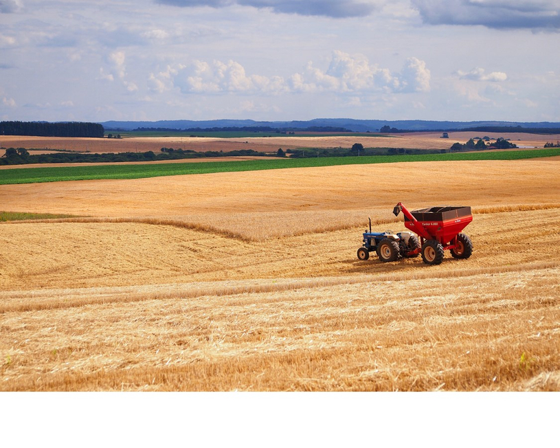 Un forum pour la révision du Plan de développement de la zone agricole