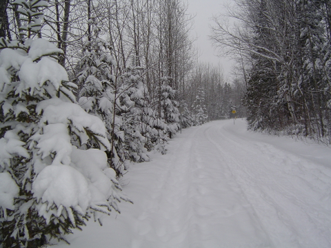 Beauté de l hiver