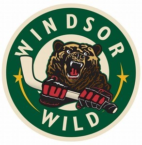 Le Desjardins/Wild et Waterloo nez à nez
