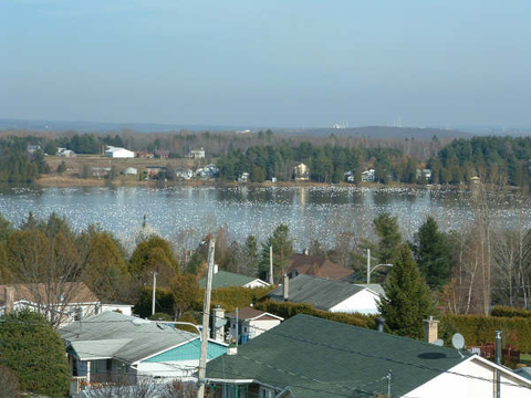 Photos des Oies à St-François