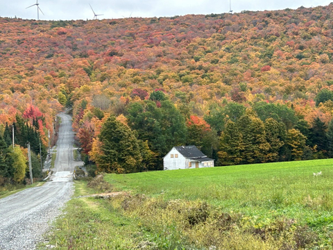 Couleurs d’automne