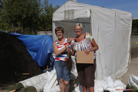 Distribution de compost à Windsor