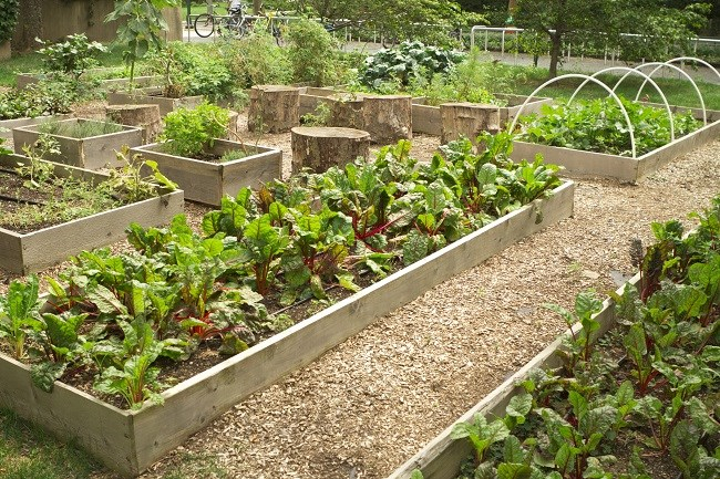 Les citoyens invités à se prononcer sur leur autonomie alimentaire