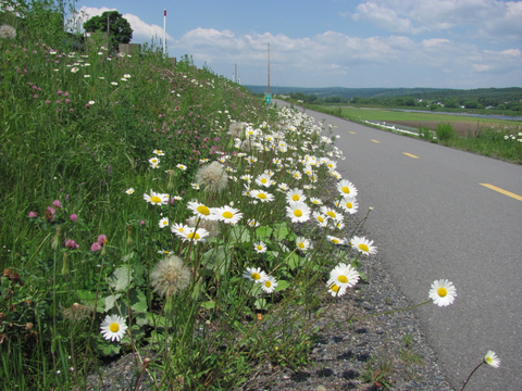 Chemin