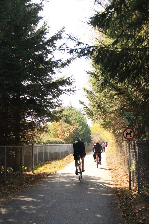 du vélo dans la nature
