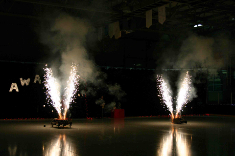 Spectacle annuel des Patins d'argent