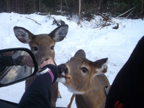 miam miam !!!