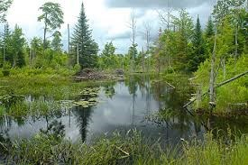 L’ensemble des MRC de l’Estrie et la Ville  de Sherbrooke s’unissent