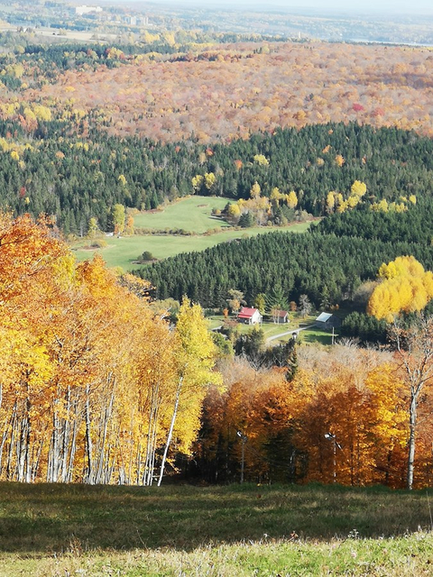 Photo de la région