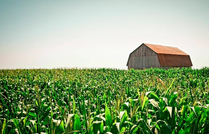 Les Rendez-vous en agroenvironnement 2023-2024 pour les producteurs