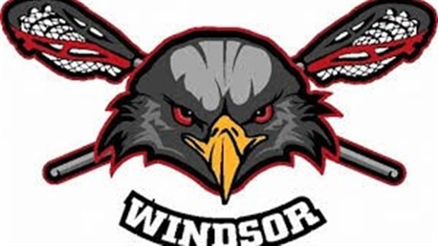 Les Aigles séniors à un match d’une saison parfaite 