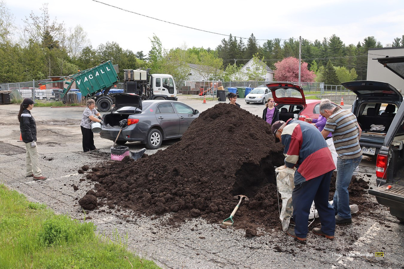 Windsor distribue du compost et des arbres