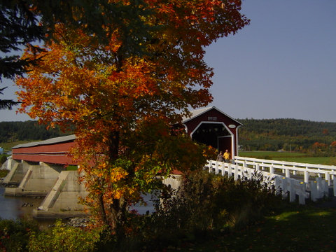 un bel automne